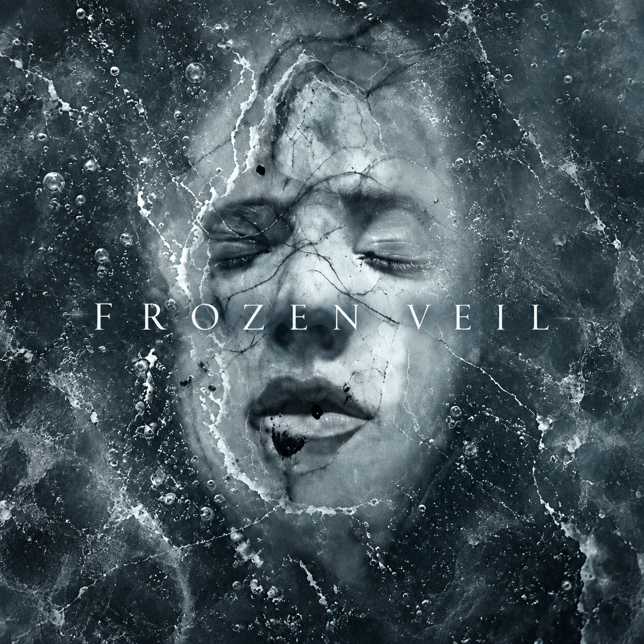 FROZEN VEIL